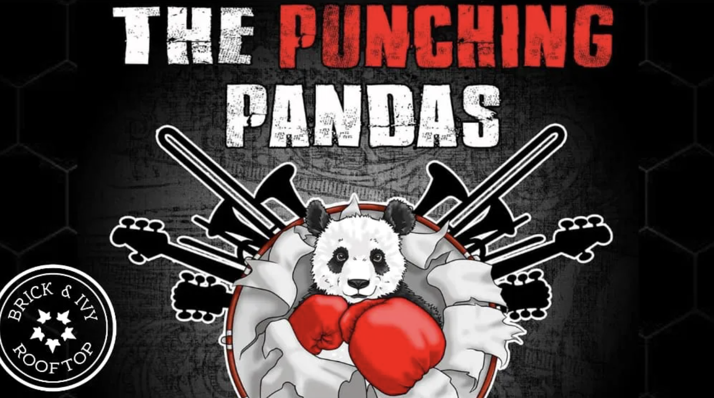 the punching pandas